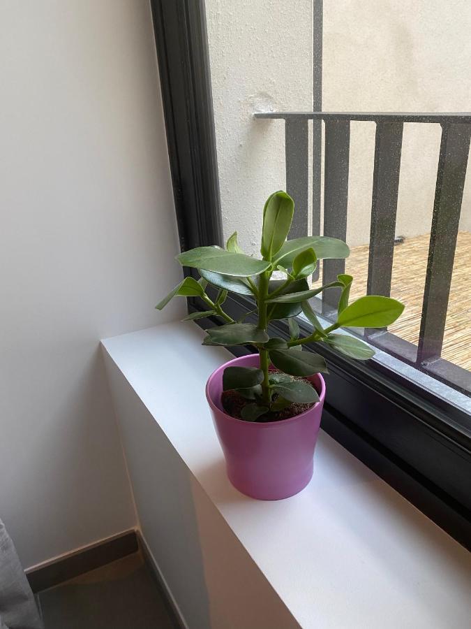 Joli Petit Nid Douillet En Centre Ville La Rochelle  Exterior foto